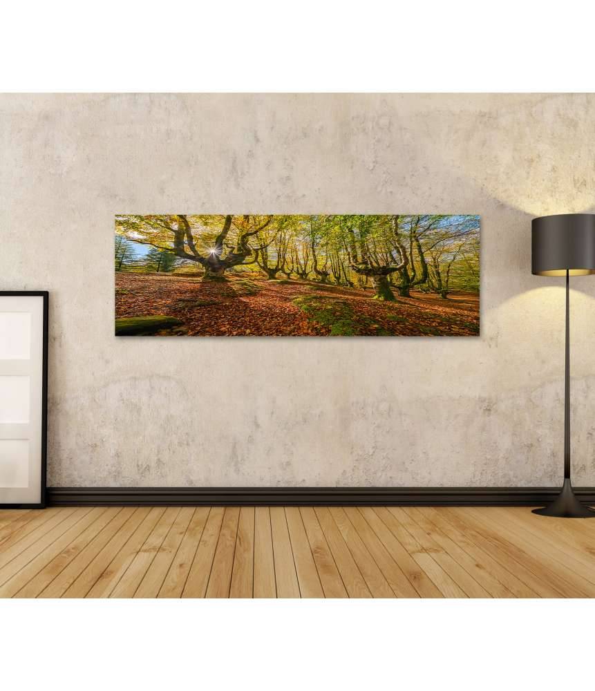 Islandburner Bild auf Leinwand Mystischer Otzarreta Wald im Gorbea Naturpark, Bizkaia, Baskenland Black Friday Preise