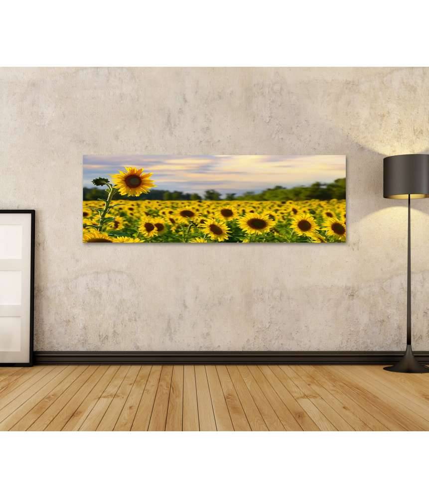 Islandburner Bild auf Leinwand Prächtiges Wandbild eines Sonnenblumenfelds bei zauberhaftem Abendhimmel Sonderangebot