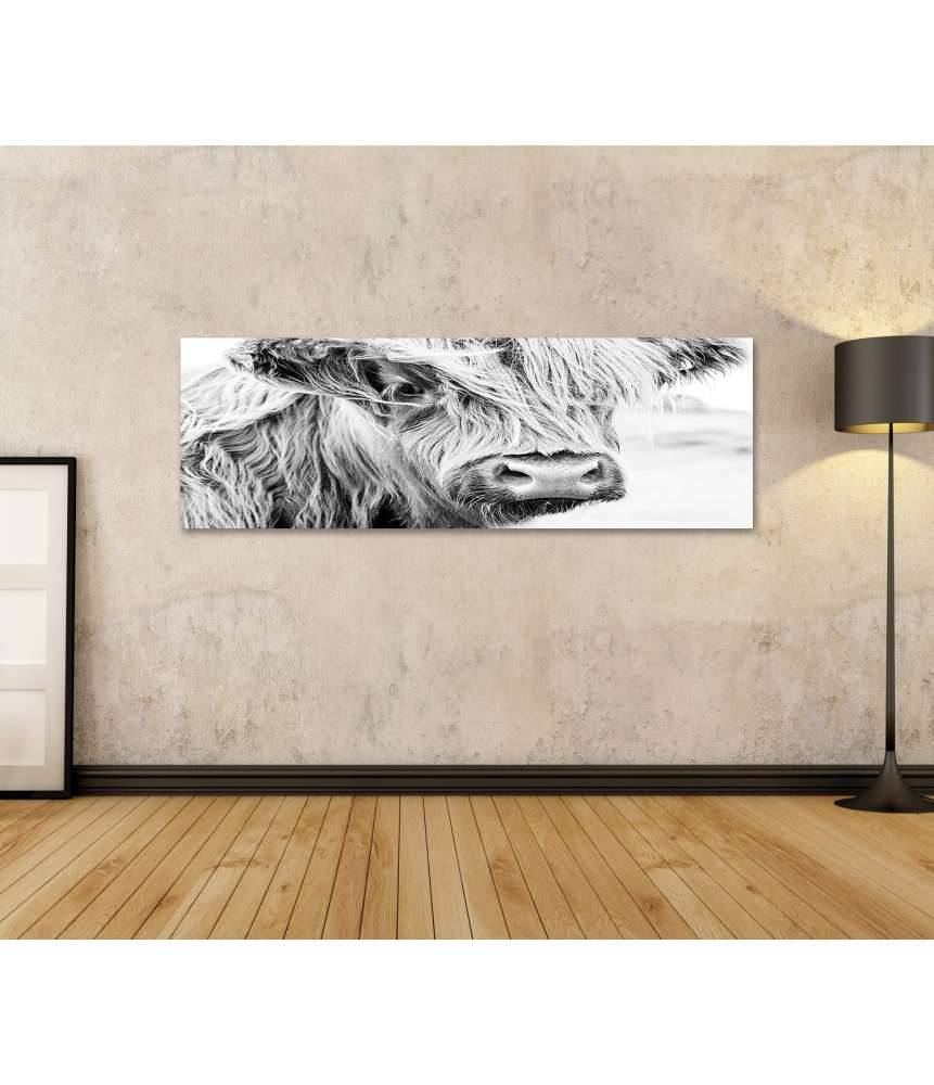 Islandburner Bild auf Leinwand Monochromes Wandbild einer schottischen Kuh auf einer Wiese Rabatt
