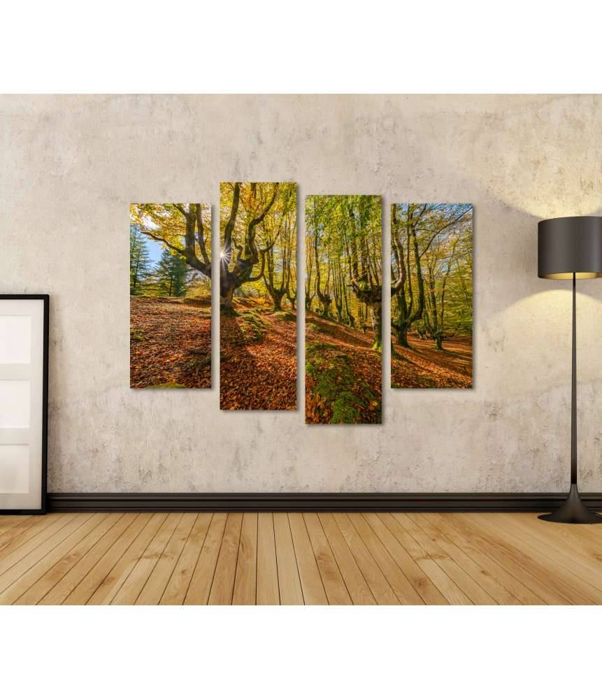 Islandburner Bild auf Leinwand Mystischer Otzarreta Wald im Gorbea Naturpark, Bizkaia, Baskenland Osterangebot