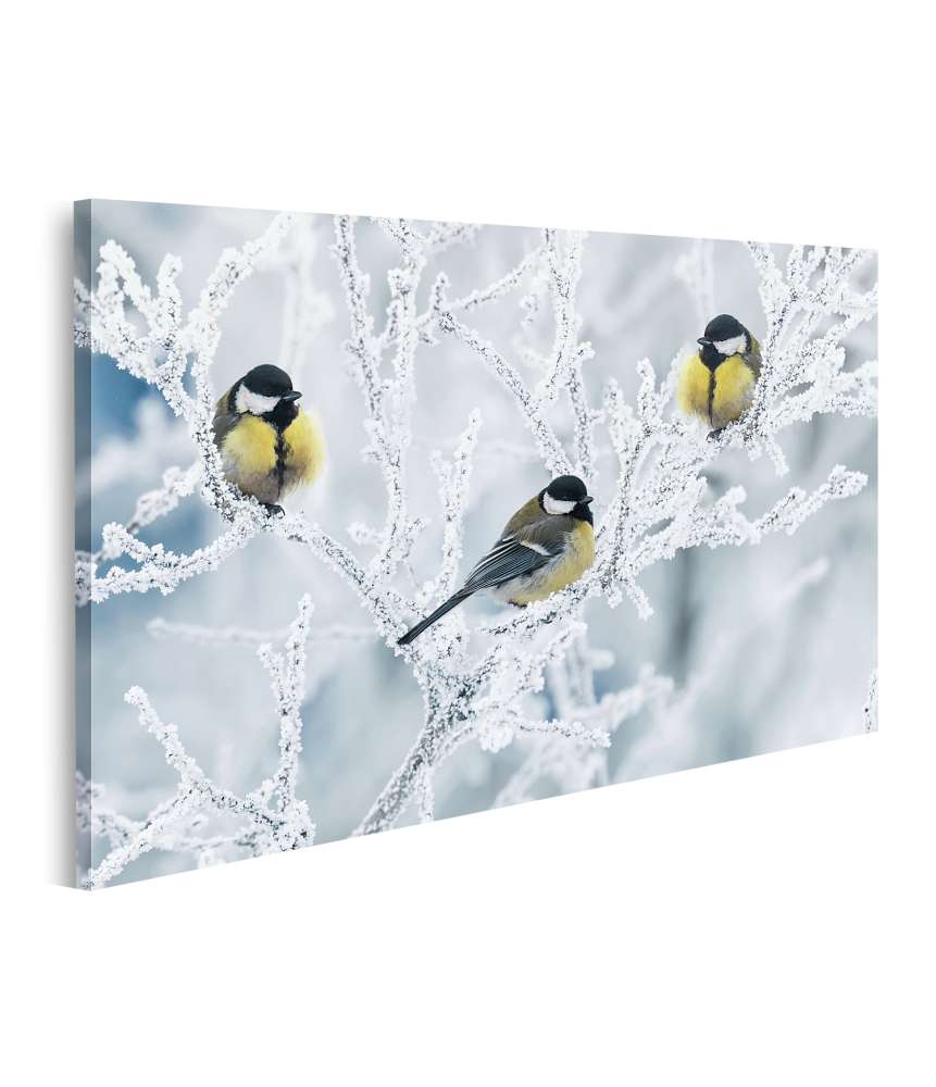 Islandburner Bild auf Leinwand Frostbedeckte Zweige mit Vögeln im winterlichen Garten als Wandbild VIP-Rabatte