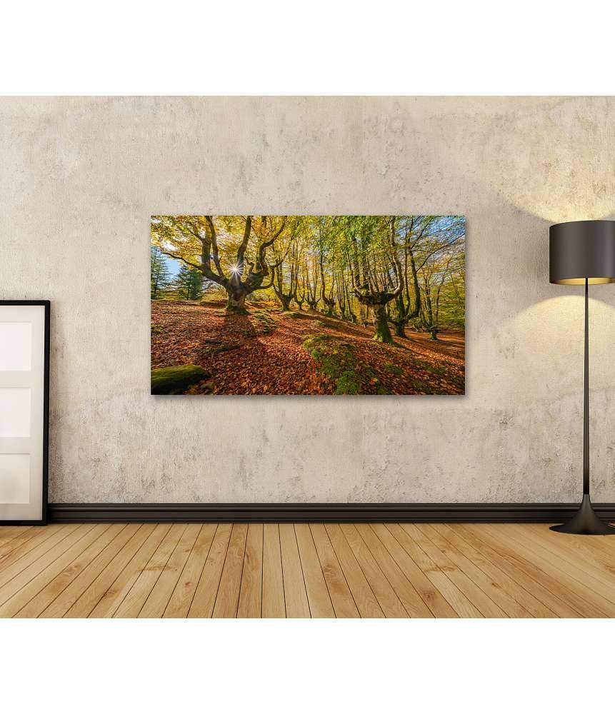 Islandburner Bild auf Leinwand Mystischer Otzarreta Wald im Gorbea Naturpark, Bizkaia, Baskenland Super Sparpreis