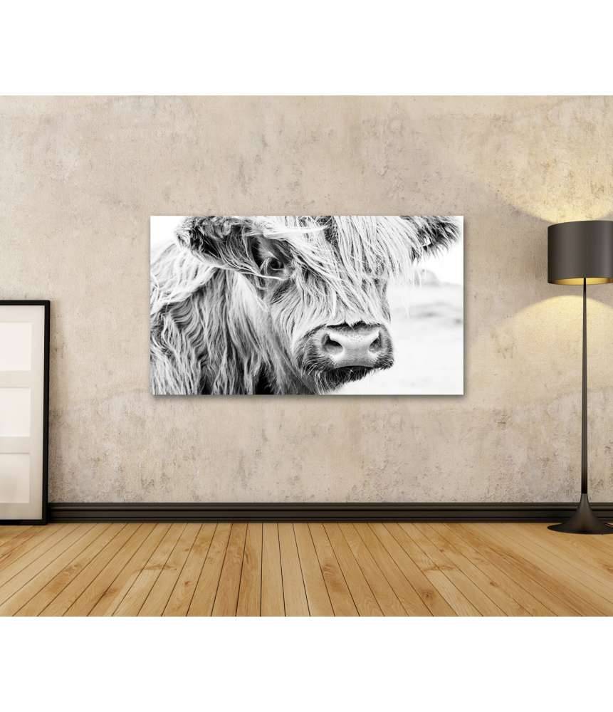 Islandburner Bild auf Leinwand Monochromes Wandbild einer schottischen Kuh auf einer Wiese Letzter Tag
