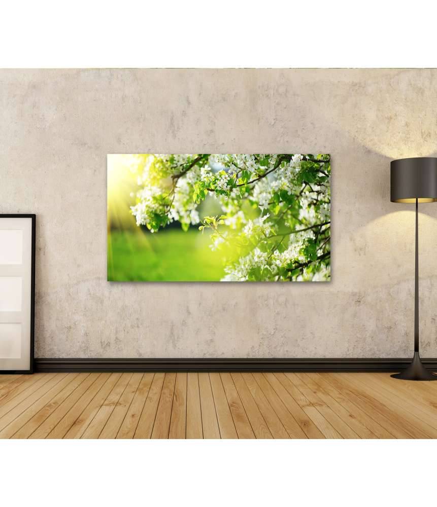 Islandburner Bild auf Leinwand Frühlingshaftes Wandbild mit blühendem Baum und Sonnenaufgang Bis zu 55% Rabatt