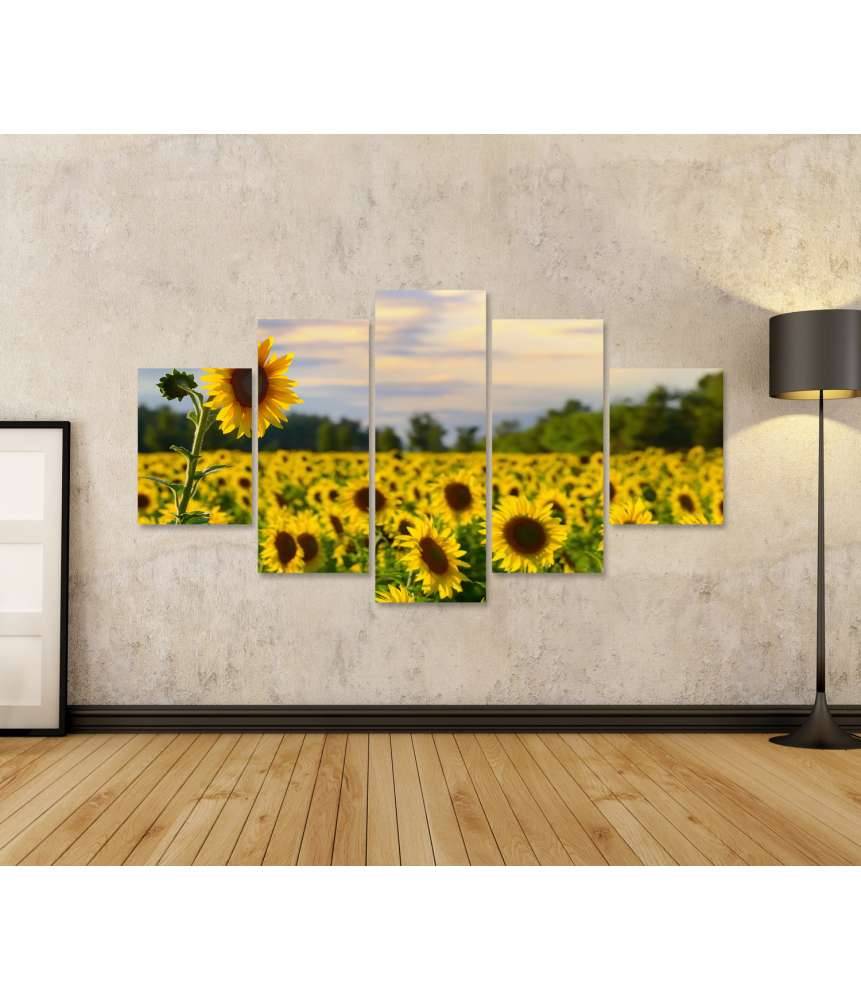 Islandburner Bild auf Leinwand Prächtiges Wandbild eines Sonnenblumenfelds bei zauberhaftem Abendhimmel Rabatte dieses Monats