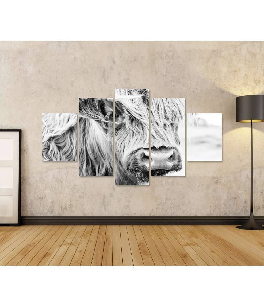 Islandburner Bild auf Leinwand Monochromes Wandbild einer schottischen Kuh auf einer Wiese 2025