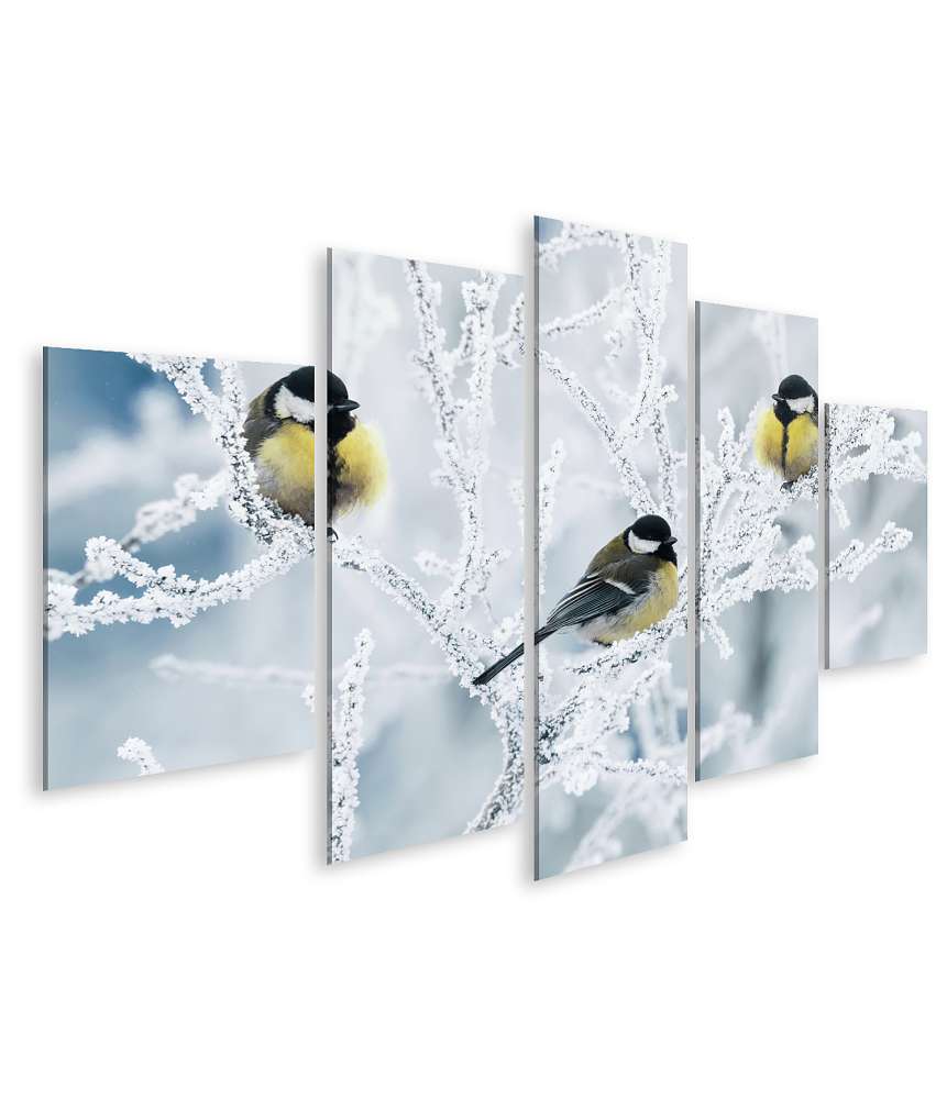 Islandburner Bild auf Leinwand Frostbedeckte Zweige mit Vögeln im winterlichen Garten als Wandbild Limitierter Zeitrabatt