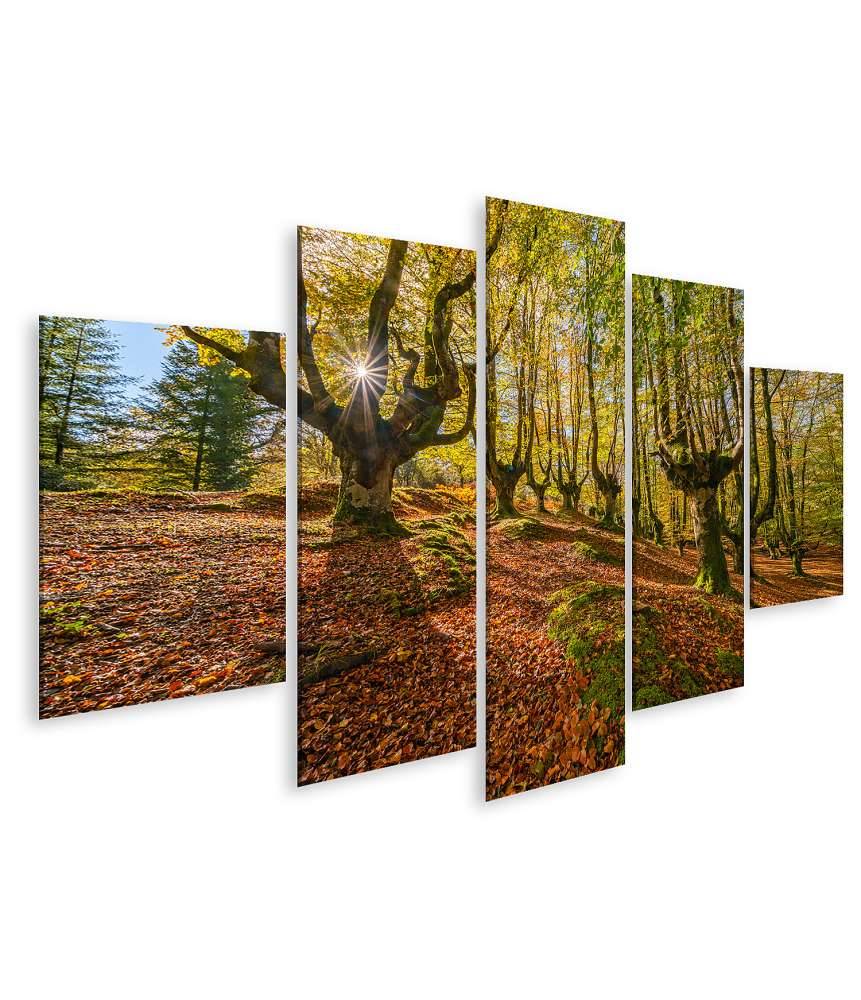 Islandburner Bild auf Leinwand Mystischer Otzarreta Wald im Gorbea Naturpark, Bizkaia, Baskenland Fabrikpreis