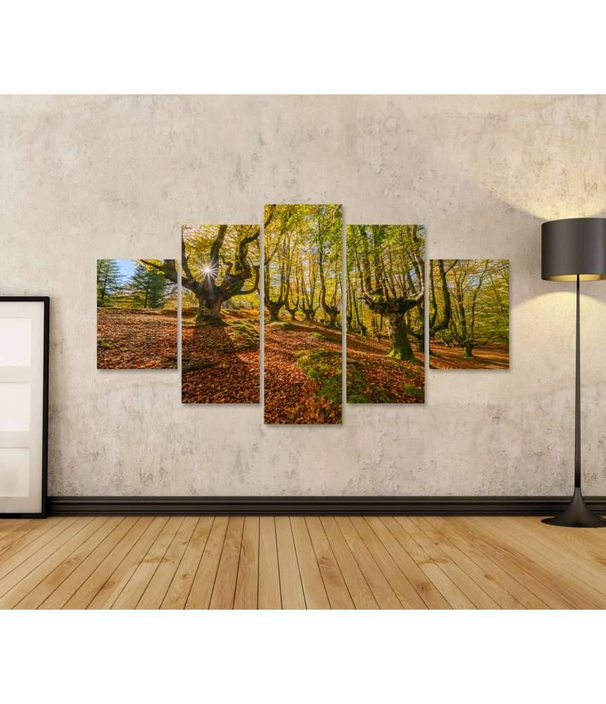 Islandburner Bild auf Leinwand Mystischer Otzarreta Wald im Gorbea Naturpark, Bizkaia, Baskenland Fabrikpreis