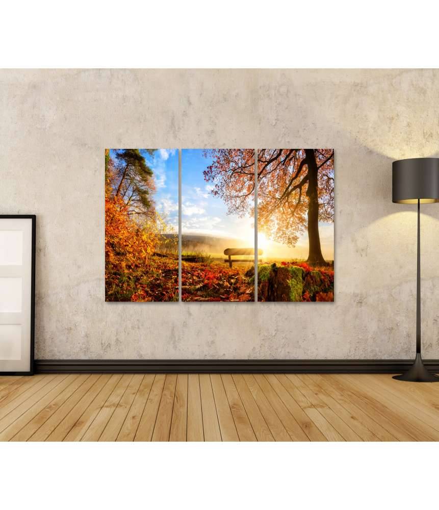 Islandburner Bild auf Leinwand Sonnendurchflutete Herbstlandschaft mit einer Bank unter einem Baum Online Shopping