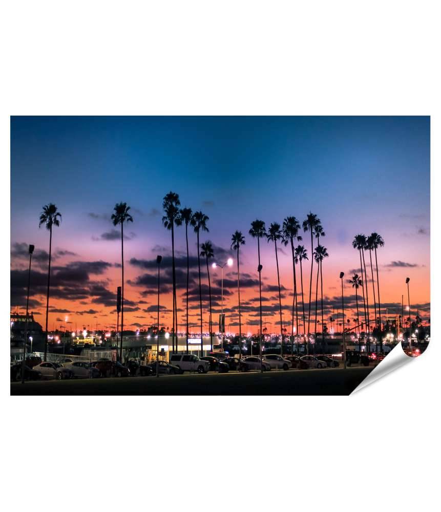 Islandburner XXL Premium Poster Atemberaubender Sonnenuntergang über Palmen in Tampa, Florida Neueste Mode