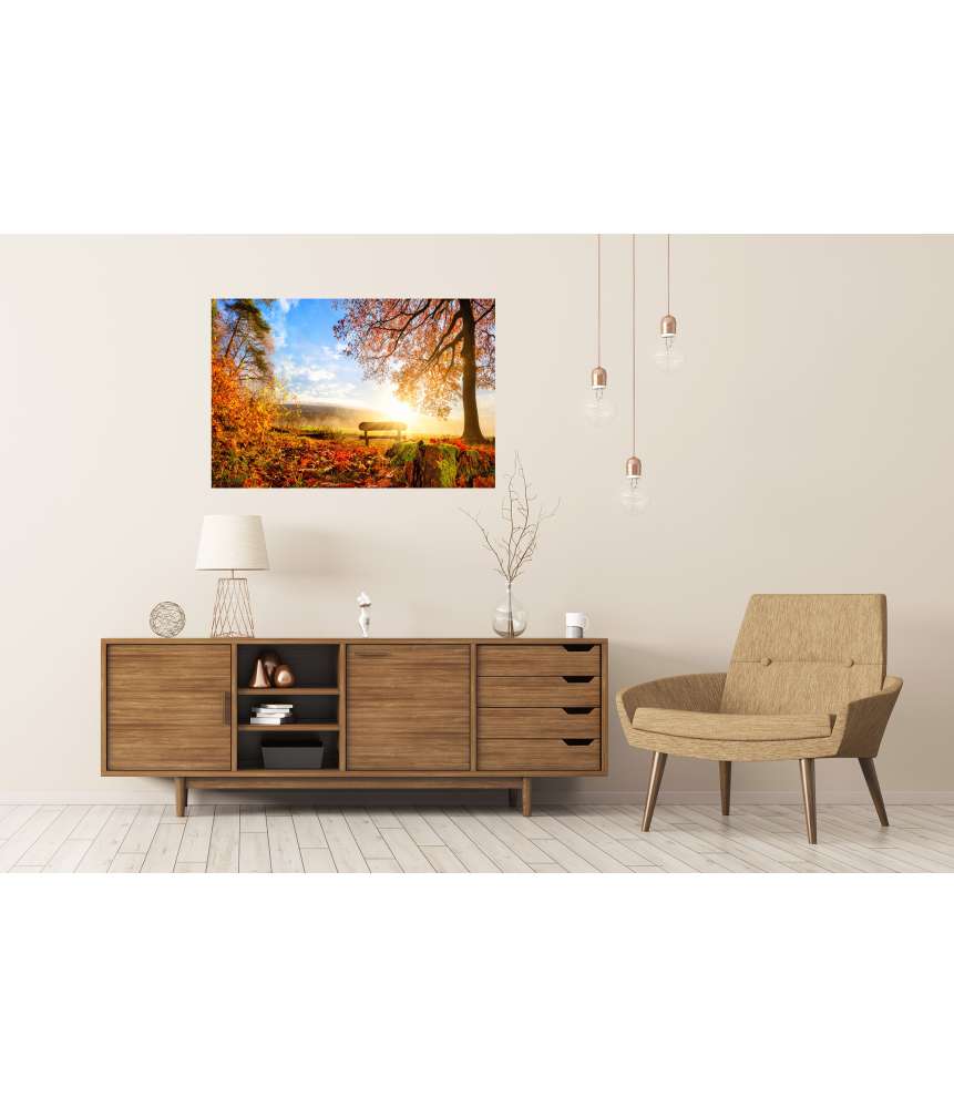 Islandburner XXL Premium Poster Sonnendurchflutete Herbstlandschaft mit einer Bank unter einem Baum Räumungsverkauf