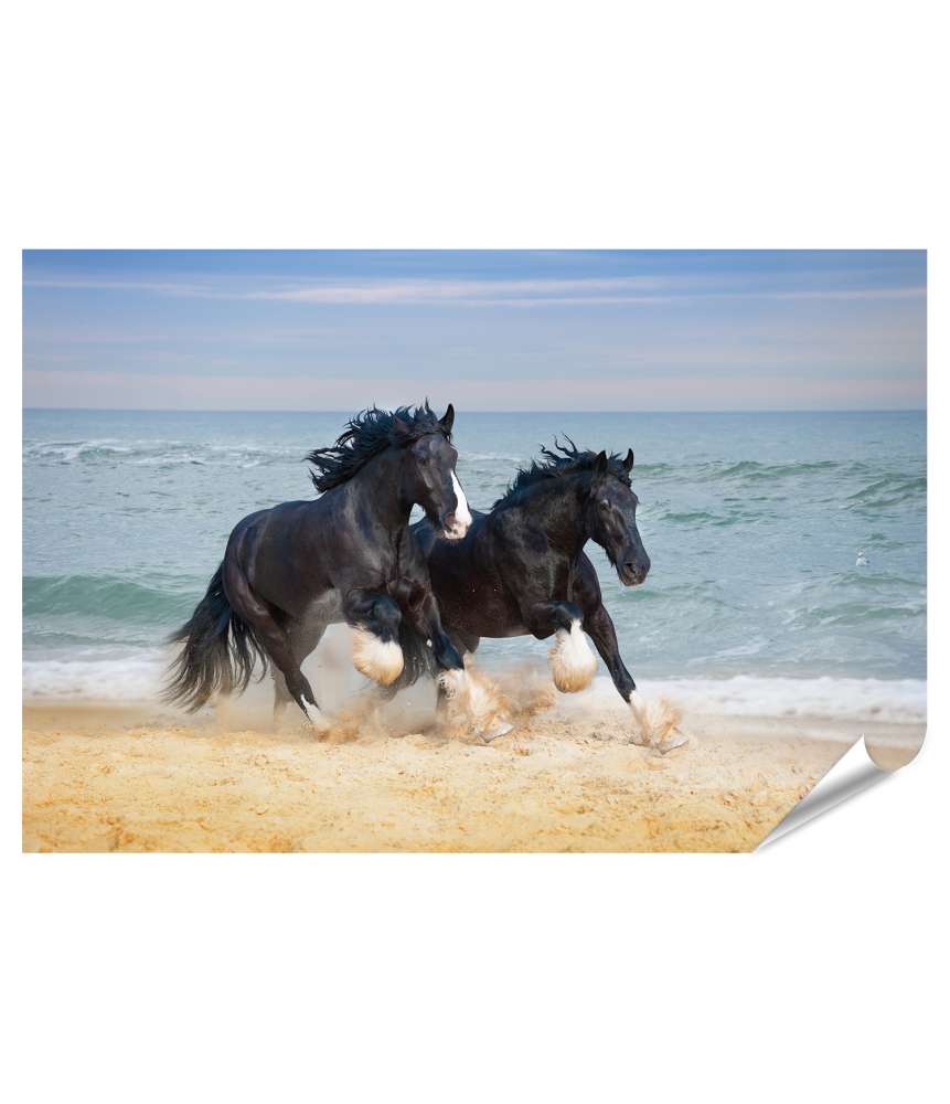 Islandburner XXL Premium Poster Großes Wandbild mit zwei majestätischen Pferden für Kinderzimmer Wochenangebot