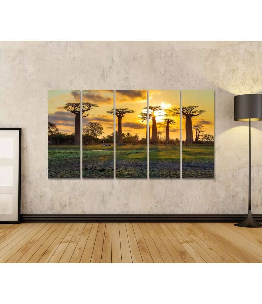 Islandburner Bild auf Leinwand Atemberaubender Sonnenuntergang zwischen Baobabs in Madagaskar Schlussverkauf