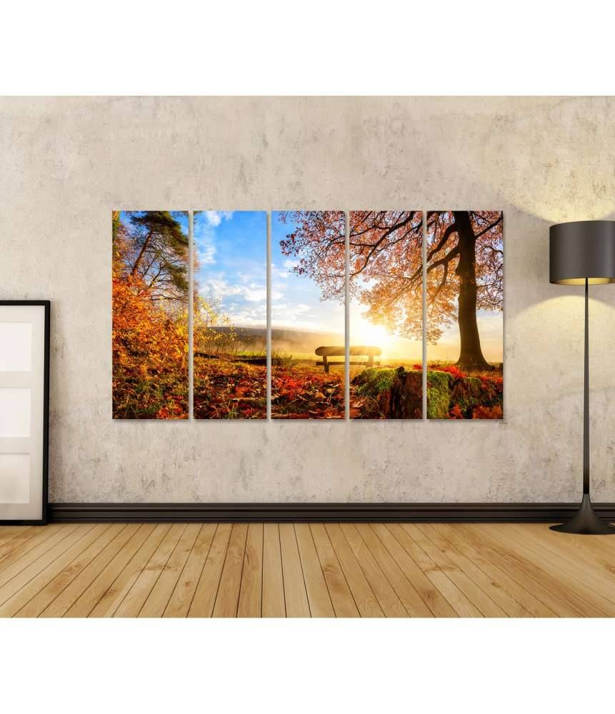 Islandburner Bild auf Leinwand Sonnendurchflutete Herbstlandschaft mit einer Bank unter einem Baum Fabrikverkauf