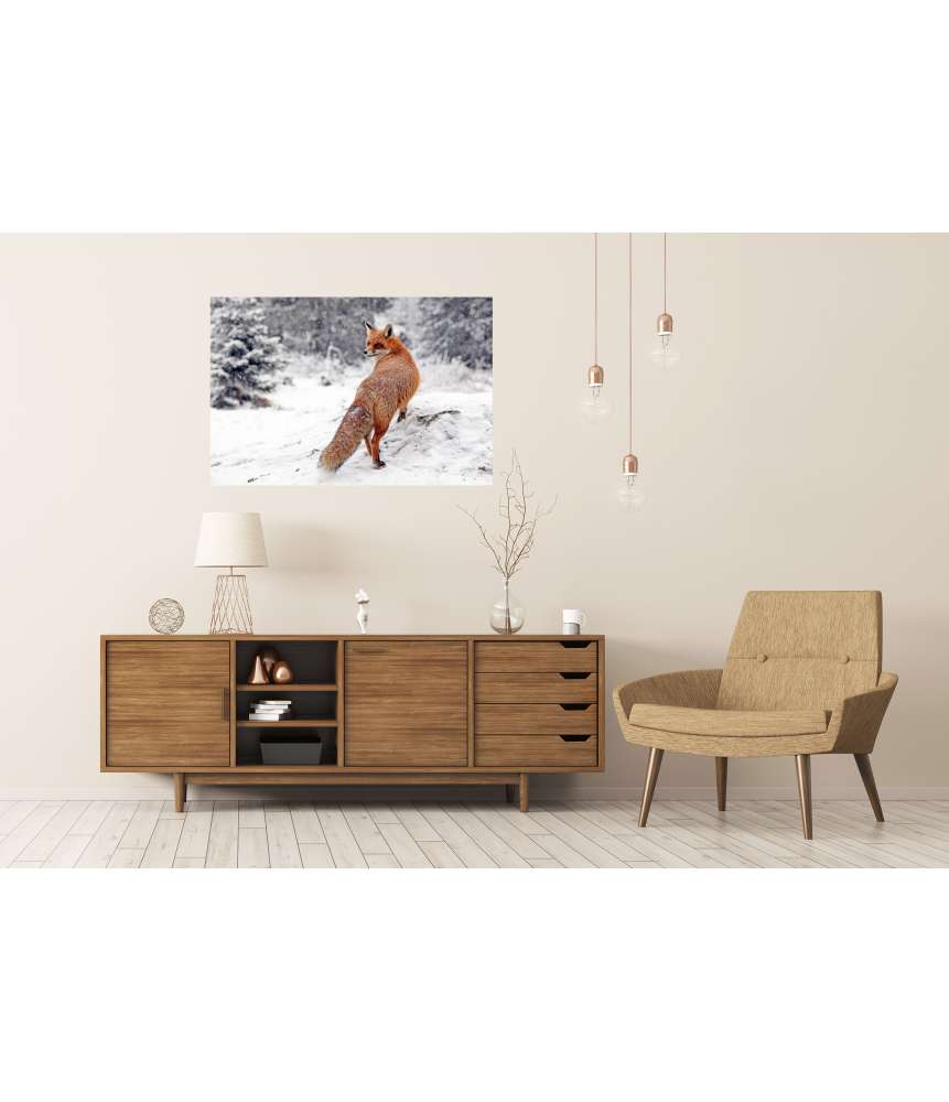 Islandburner Premium Poster Winterliches Fuchs-Wandbild im Schneewald der Hohen Tatra, Slowakei Versandkostenfrei