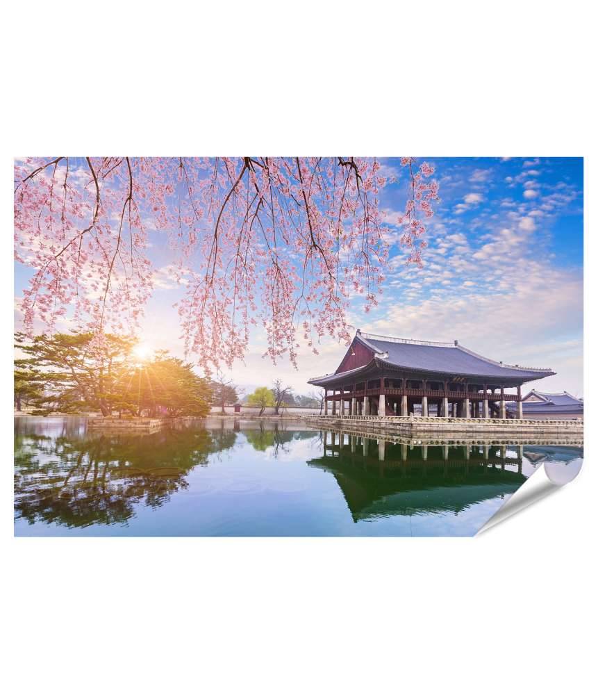 Islandburner Premium Poster Frühlingskirschblüten am Gyeongbokgung Palast, Seoul