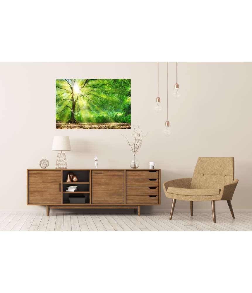 Islandburner Premium Poster Strahlender Sonnenschein durchflutet den wilden Wald auf dem Wandbild Kauf eins, bekomm eins gratis
