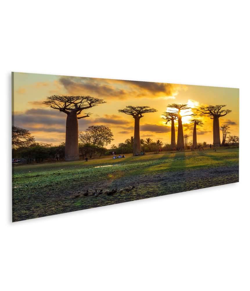 Islandburner Bild auf Leinwand Atemberaubender Sonnenuntergang zwischen Baobabs in Madagaskar Letzte 3 Tage