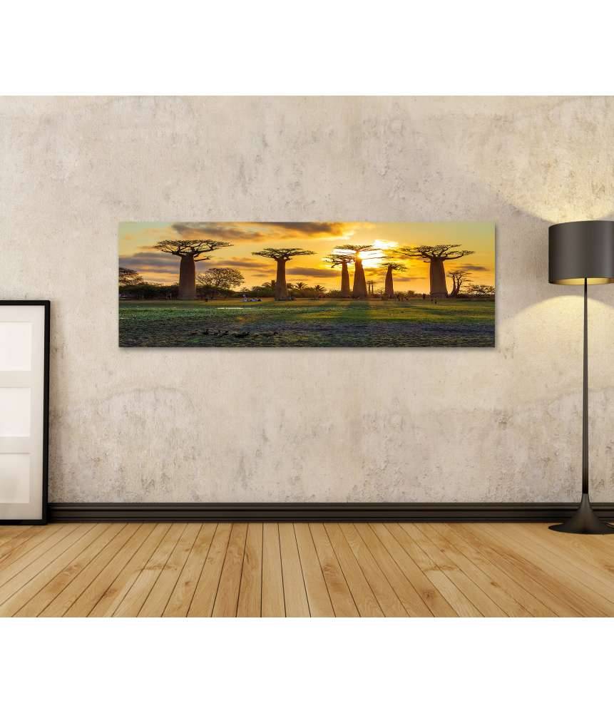 Islandburner Bild auf Leinwand Atemberaubender Sonnenuntergang zwischen Baobabs in Madagaskar Letzte 3 Tage