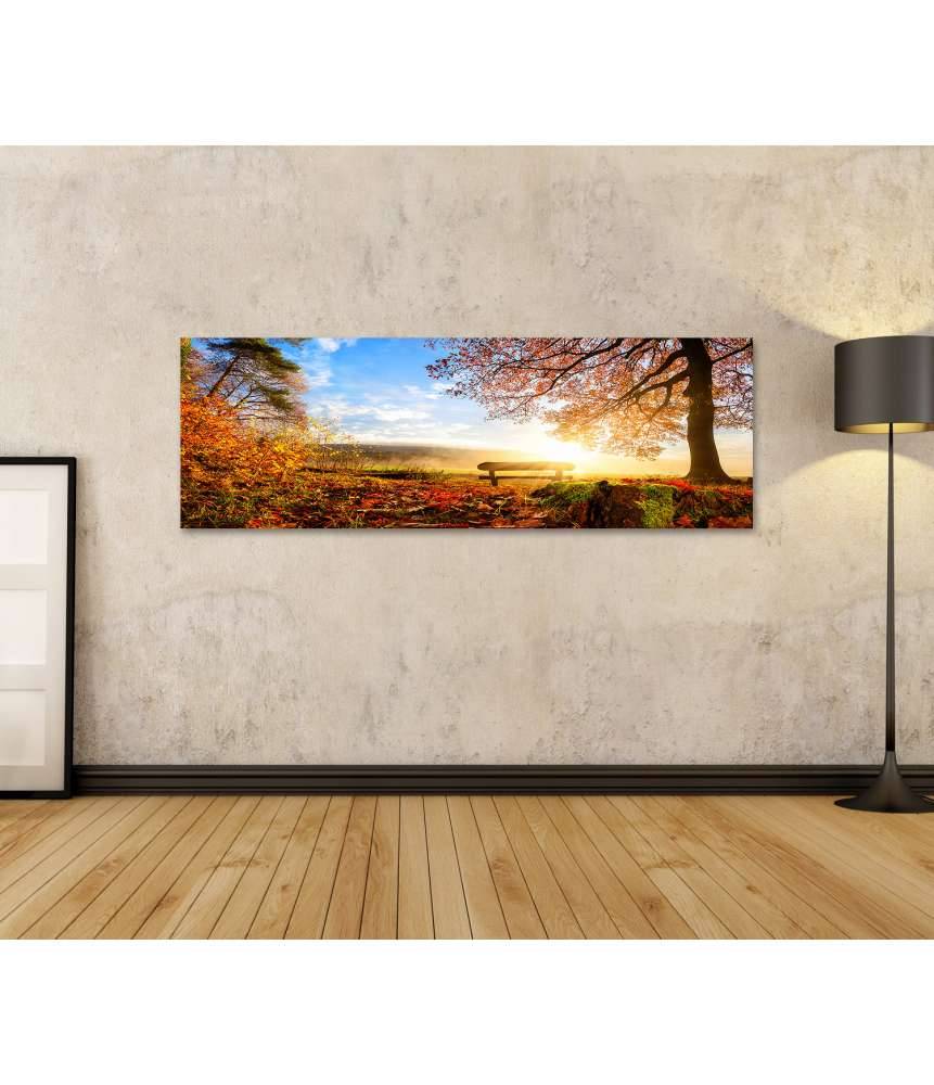 Islandburner Bild auf Leinwand Sonnendurchflutete Herbstlandschaft mit einer Bank unter einem Baum Neueste Stile