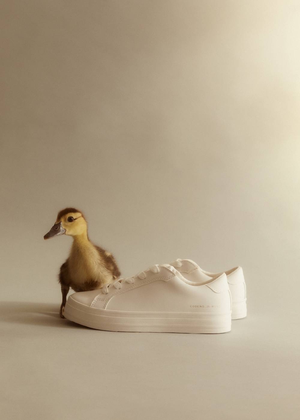 Mango Sneakers mit Plateausohle Vierteljährliche Förderung