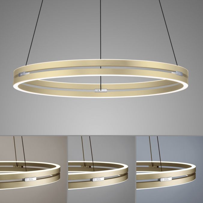 Paul Neuhaus Paul Neuhaus LED Pendelleuchte PURE-E-LOOP messing matt elektrisch Meist gekauft