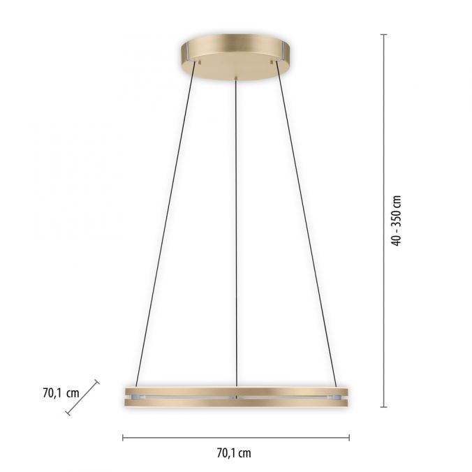 Paul Neuhaus Paul Neuhaus LED Pendelleuchte PURE-E-LOOP messing matt elektrisch Meist gekauft