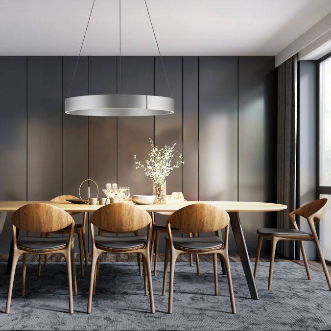 Paul Neuhaus Paul Neuhaus LED Pendelleuchte PURE-E-CLIPSE aluminium elektrisch Kostenloser Versand
