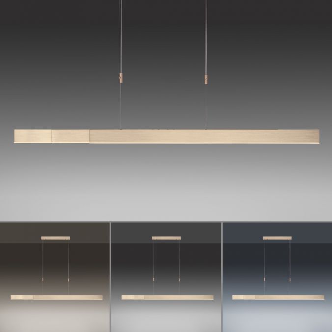 Paul Neuhaus Paul Neuhaus PURE MOTO e-SLIDE® messing elektrisch ausfahrbar Pendelleuchte Fabrikpreis