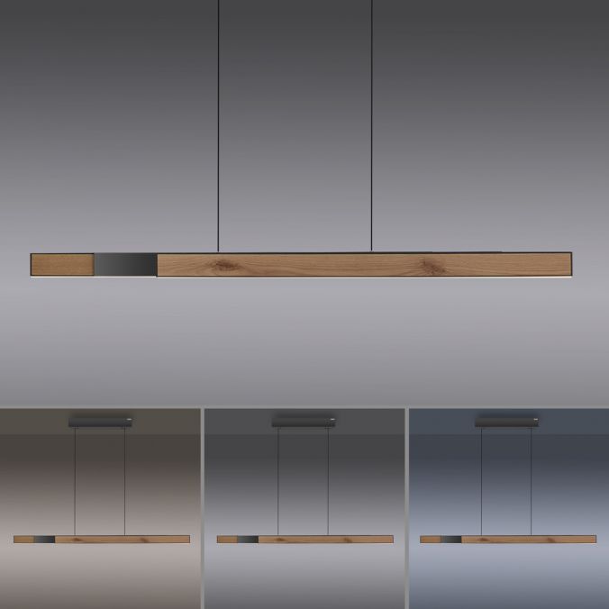Paul Neuhaus Paul Neuhaus LED Pendelleuchte PURE-MOTO-RISE Holz natur elektrisch Touch Günstig kaufen