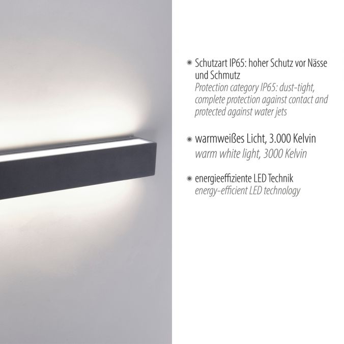 Paul Neuhaus LED Außenwandleuchte, anthrazitfarben, eckig, modernes Design, IP65 Vatertagsangebot
