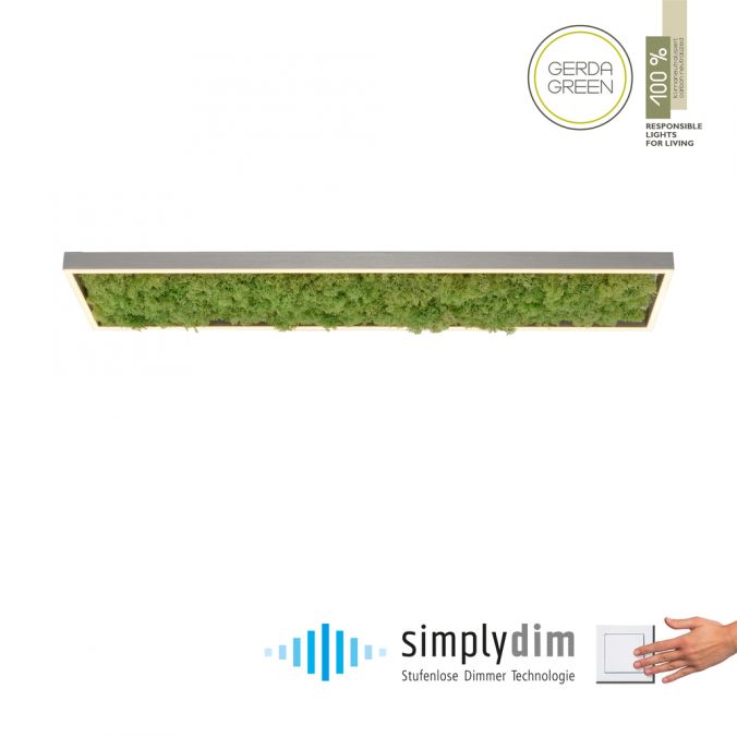Paul Neuhaus LED Deckenleuchte rechteckig Islandmoos Simplydim Technik Wohnlampe