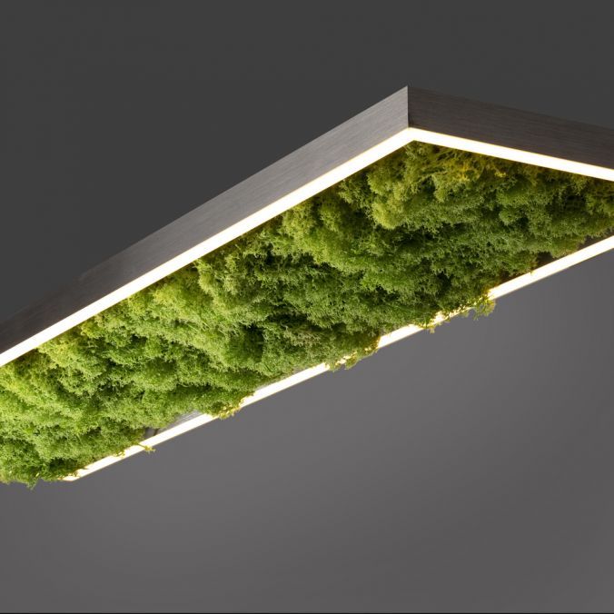 Paul Neuhaus LED Deckenleuchte rechteckig Islandmoos Simplydim Technik Wohnlampe Nur noch ein Tag übrig
