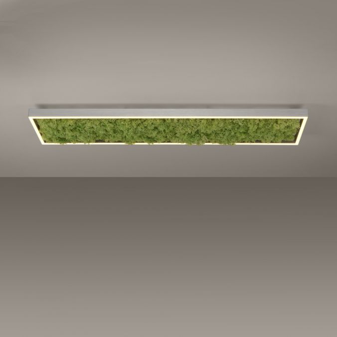 Paul Neuhaus LED Deckenleuchte rechteckig Islandmoos Simplydim Technik Wohnlampe Nur noch ein Tag übrig