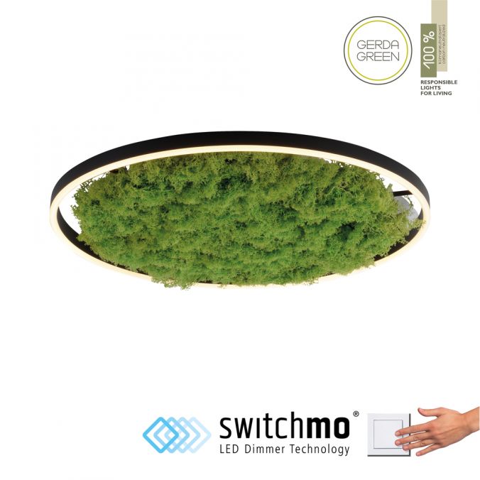 Paul Neuhaus LED Deckenleuchte 60x60 Island Moos Switchmo 3 Stufen Dimmung
