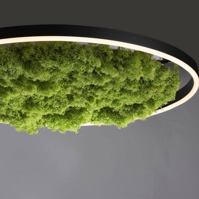 Paul Neuhaus LED Deckenleuchte 60x60 Island Moos Switchmo 3 Stufen Dimmung Rabatte dieses Monats