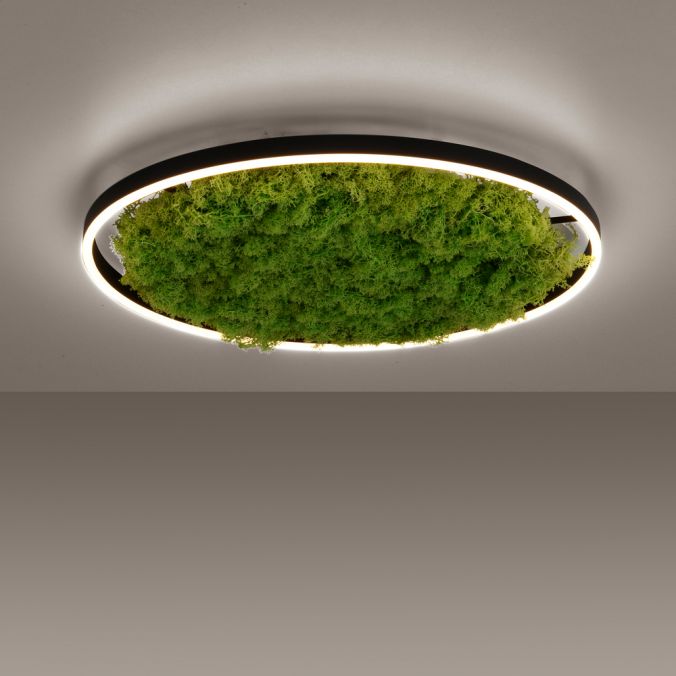 Paul Neuhaus LED Deckenleuchte 60x60 Island Moos Switchmo 3 Stufen Dimmung Rabatte dieses Monats