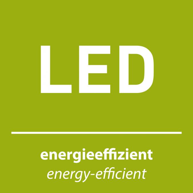 Paul Neuhaus LED-Deckenleuchte, Sternenhimmeldekor, Lichtfarbsteuerung, Dimmfunktion Jubiläumsangebot