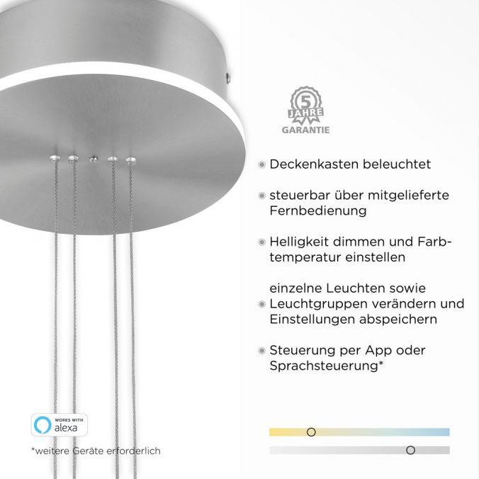 Paul Neuhaus Paul Neuhaus, Q-ETIENNE, LED Pendelleuchte stahl, Smart Home Begrenzte Freigabe