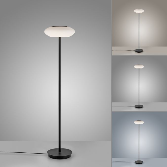 Paul Neuhaus Paul Neuhaus Q ETIENNE LED Stehleuchte Smart Home schwarz dimmbar CCT Im Verkauf
