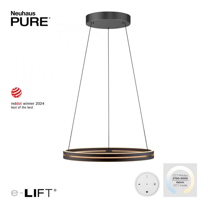 Paul Neuhaus Paul Neuhaus LED Pendelleuchte PURE E-Loop schwarz D=70cm e-LIFT Fabrikverkauf