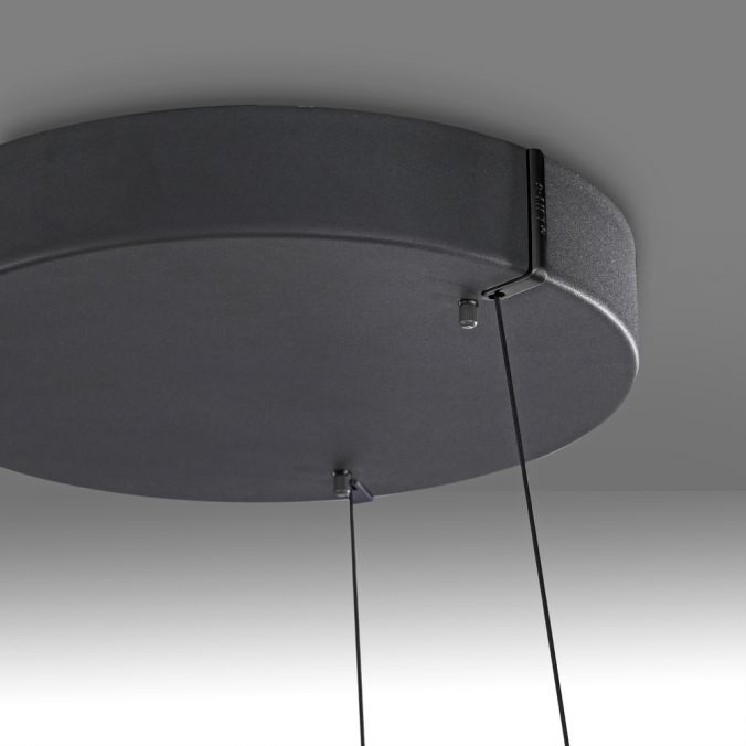 Paul Neuhaus Paul Neuhaus LED Pendelleuchte PURE E-Loop schwarz D=70cm e-LIFT Fabrikverkauf