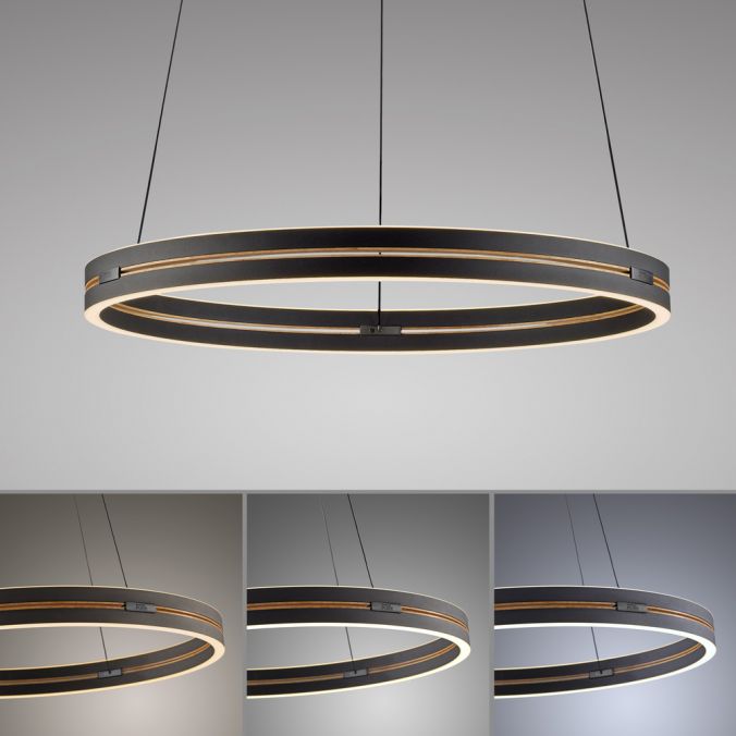 Paul Neuhaus Paul Neuhaus LED Pendelleuchte PURE E-Loop schwarz D=70cm e-LIFT Fabrikverkauf