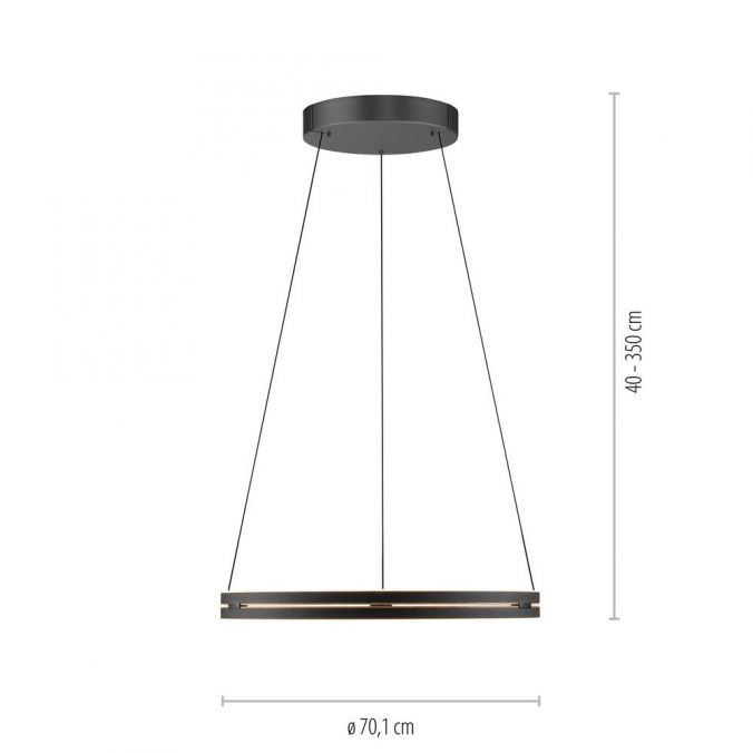 Paul Neuhaus Paul Neuhaus LED Pendelleuchte PURE E-Loop schwarz D=70cm e-LIFT Fabrikverkauf