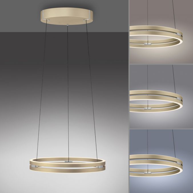 Paul Neuhaus Paul Neuhaus LED Pendelleuchte PURE E-Loop messing matt e-LIFT Meist gekauft