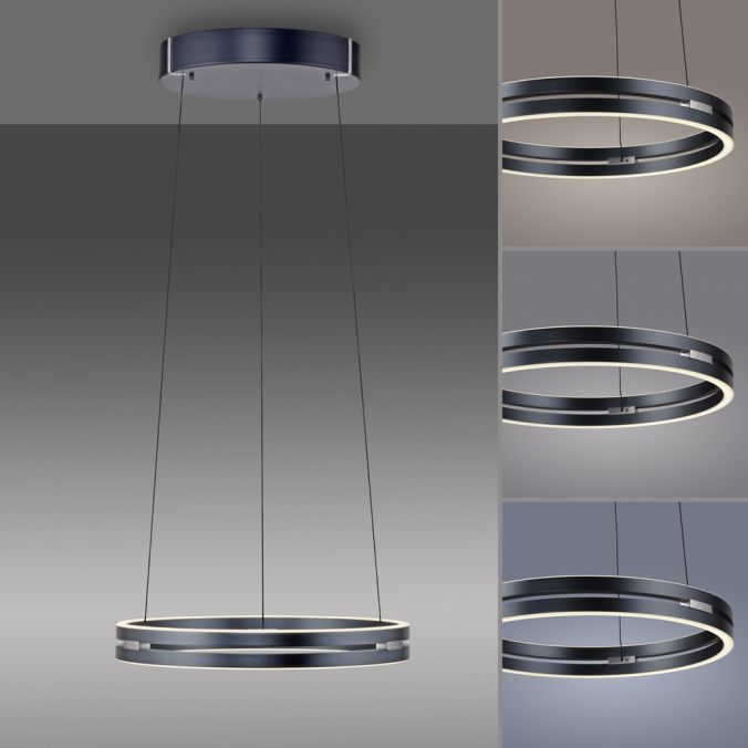 Paul Neuhaus Paul Neuhaus LED Pendelleuchte PURE E-Loop grau eloxiert e-LIFT Blitzverkäufe