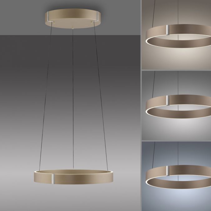 Paul Neuhaus Paul Neuhaus LED Pendelleuchte PURE E-Clipse bronce elektrisch e-LIFT Jubiläumsangebot