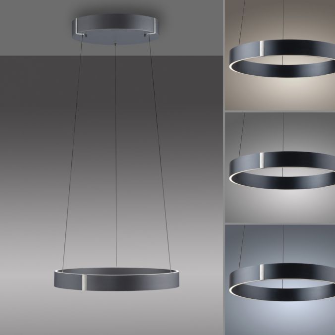 Paul Neuhaus Paul Neuhaus LED Pendelleuchte PURE E-Clipse grau elektrisch e-LIFT Heißer Verkauf