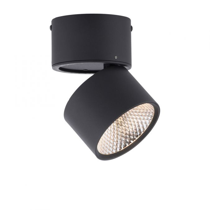 Paul Neuhaus Paul Neuhaus LED Deckenstrahler PURE-NOLA schwarz 1 flammig drehbar dimmbar